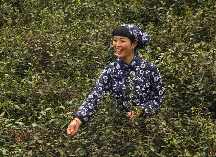 222间房主播跳舞 烟雾缭绕